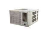 Croma 1 Ton 3 Star Window (CRAC1101) Price In India