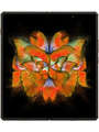 vivo X Fold 2 Price In India