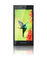 BlackBerry Leap Price In India