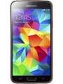 Samsung Galaxy S5 Duos Price In India