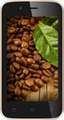 Karbonn Alfa A112 Price In India