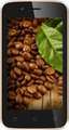 Karbonn Alfa A112 Price In India