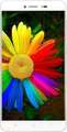 Reach Opulent 4G Price In India