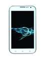 Champion Trendy 531 Price In India