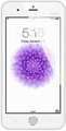 Reach Zeal 5001 Price In India