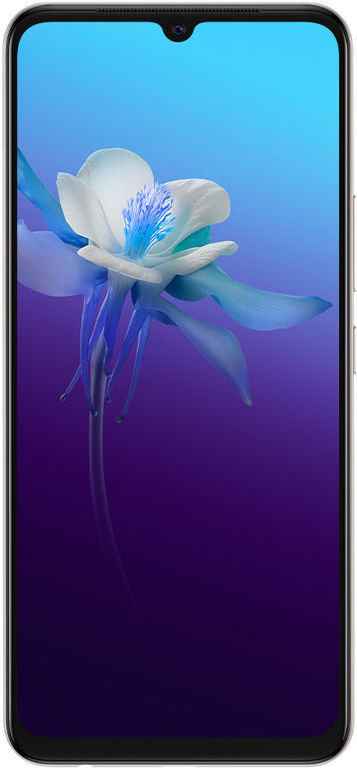 vivo v20 256gb flipkart