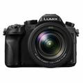 Panasonic LUMIX Digital Camera DMC-FZ2500GA Price In India