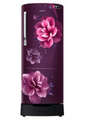 Samsung 230 Litre Top Freezer Refrigerator (RR24A282YCR) Price In India