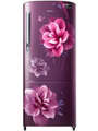 Samsung 192 Litre Top Freezer Refrigerator (RR20A272YCR) Price In India