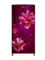 Haier 195 Litre Top Freezer Refrigerator (HRD-1954CRP-E) Price In India