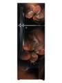 LG 260 Litre Double Door Refrigerator (GL-T292RHDN) Price In India