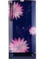 Godrej 190 Litre Single Door Refrigerator (RD EDGE PRO 205 TAF 3.2) Price In India