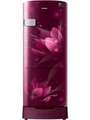 Samsung 215 Litre Top Freezer Refrigerator (RR22R373YR8) Price In India