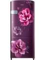 Samsung 230 Litre Single Door Refrigerator (RR24R2Y2ZCR) Price In India