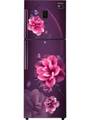 Samsung 324 Litre Double Door Refrigerator (RT34R5438CR) Price In India