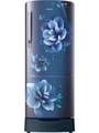 Samsung 192 Litre Top Freezer Refrigerator (RR20R182XCU) Price In India