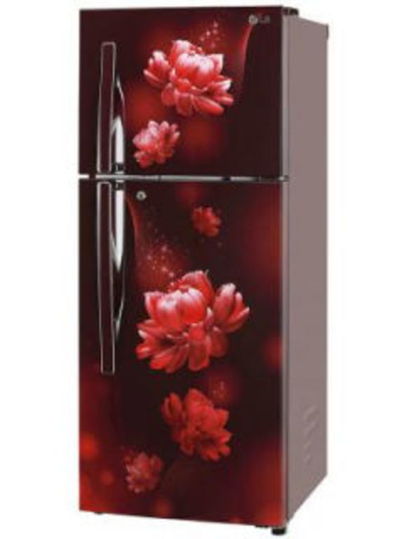 21+ Lg fridge price money information