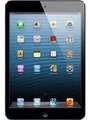 Apple iPad mini 32GB WiFi and Cellular Price In India