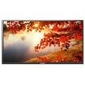 Intex LED-3220 32 Inch HD Ready LED Price In India
