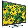 Haier LE-32C430 32 inch HD Ready LED Price In India
