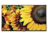 LG 32LF505A 32 inch HD Ready LED Price In India
